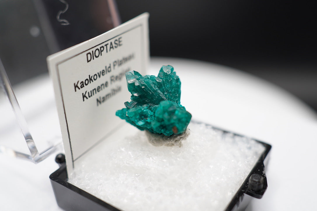 Dioptase Spray / Namibia