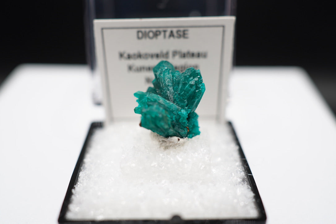 Dioptase Spray / Namibia
