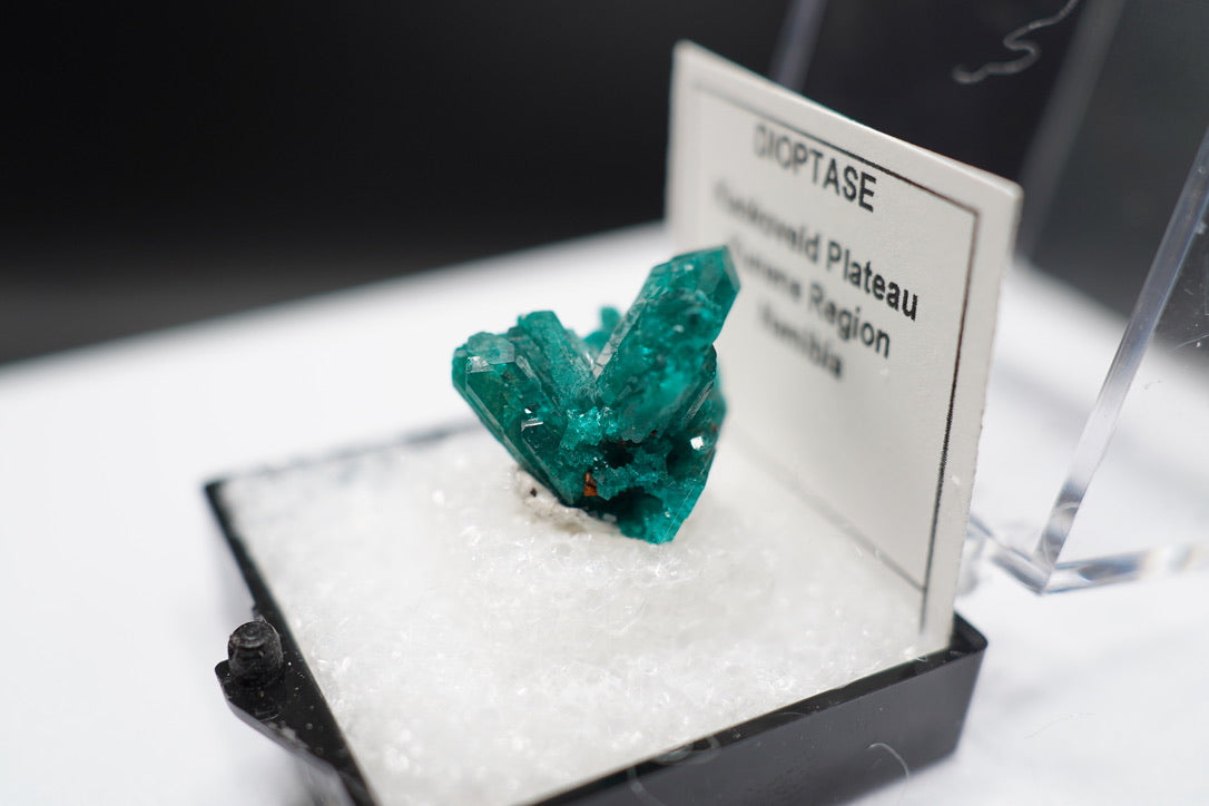 Dioptase Spray / Namibia