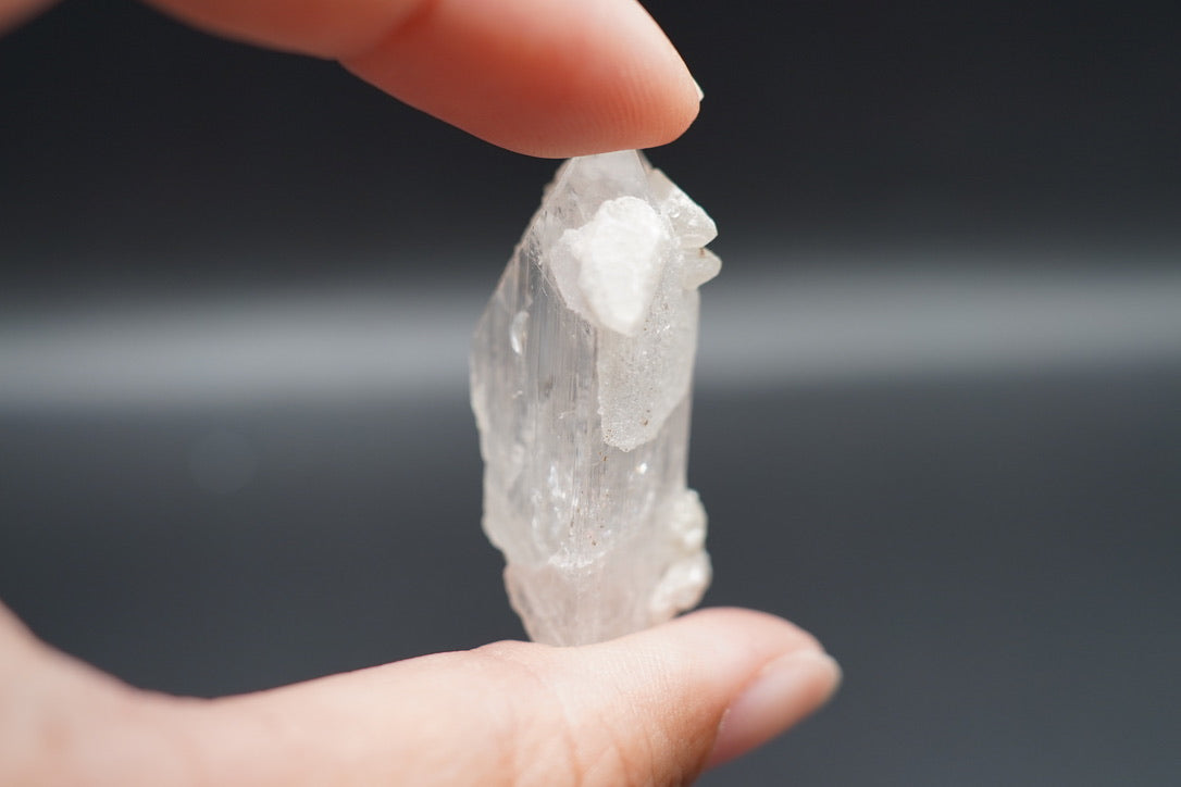 Danburite / Mexico