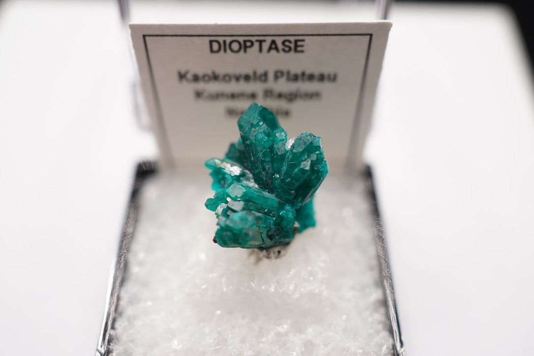 Dioptase Spray / Namibia