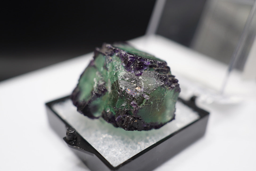 Fluorite / Okorusu, Namibia (2024)