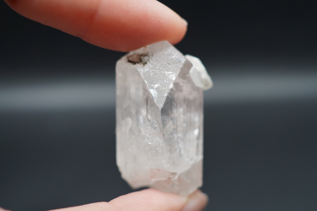 Danburite / Mexico