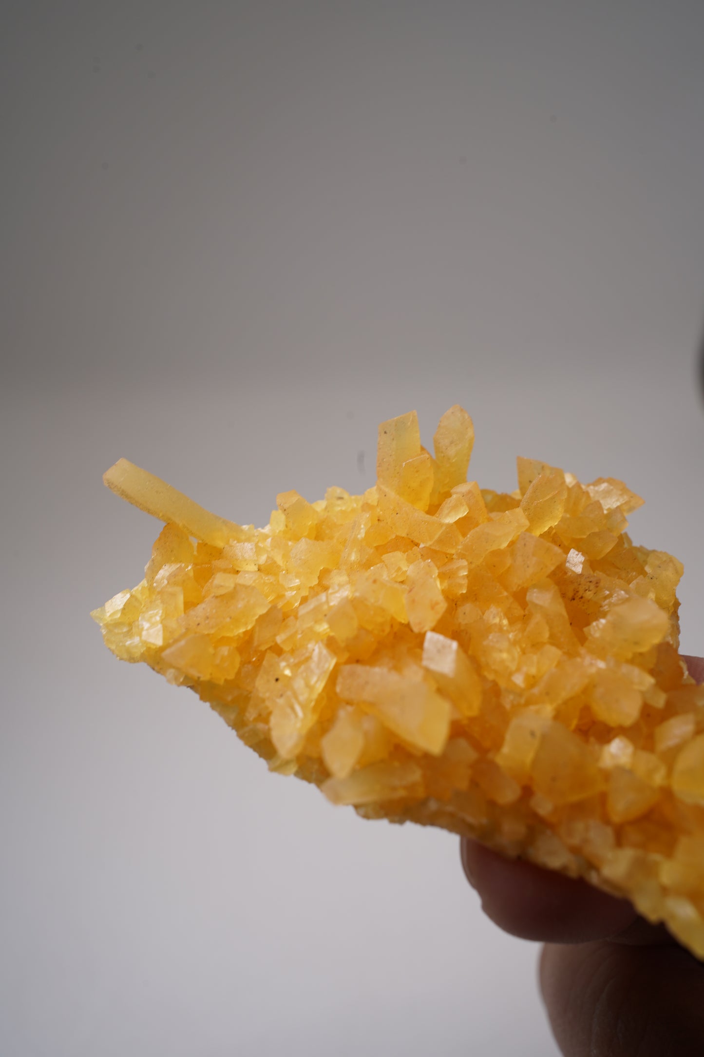 Golden Calcite / South Dakota, USA
