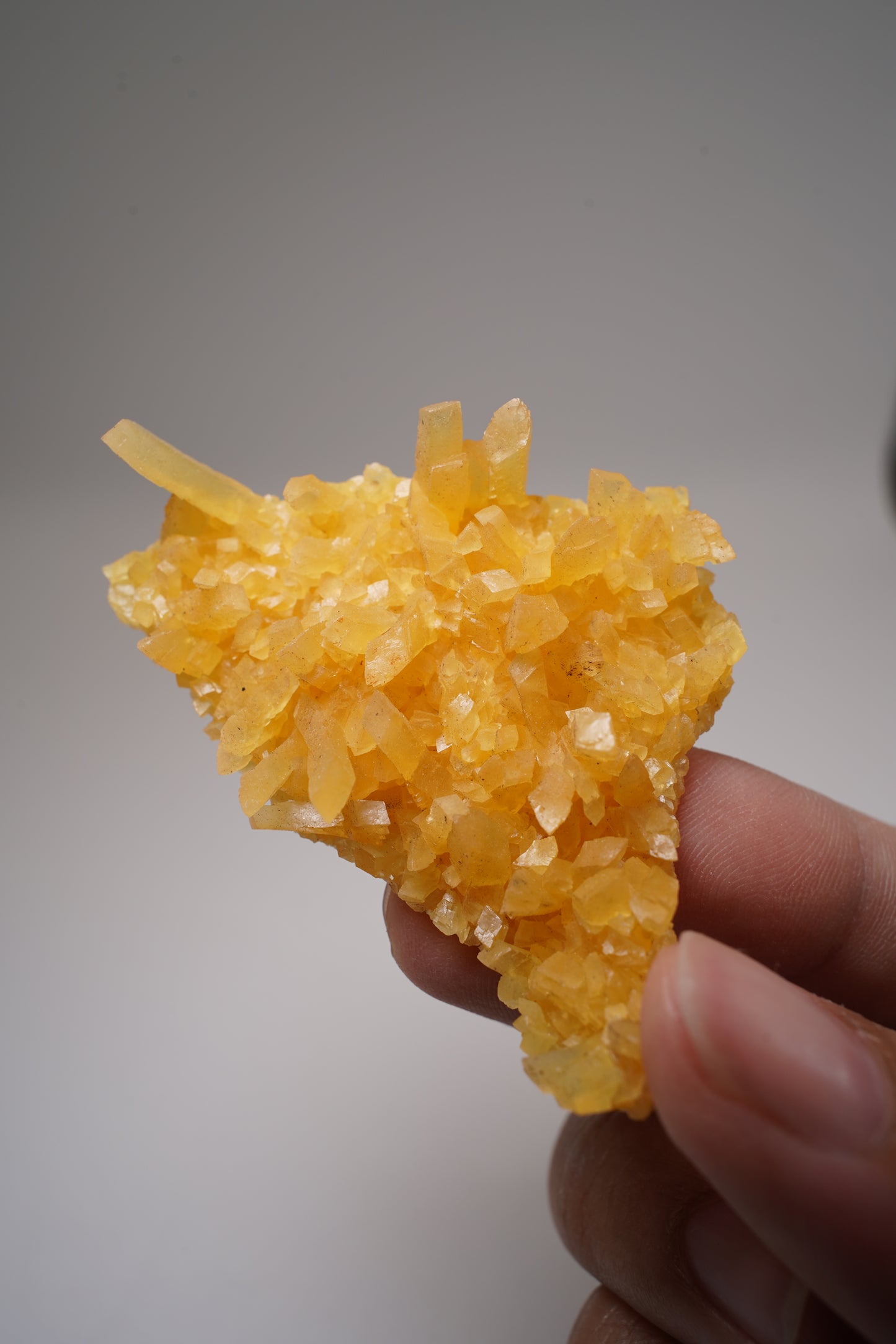 Golden Calcite / South Dakota, USA