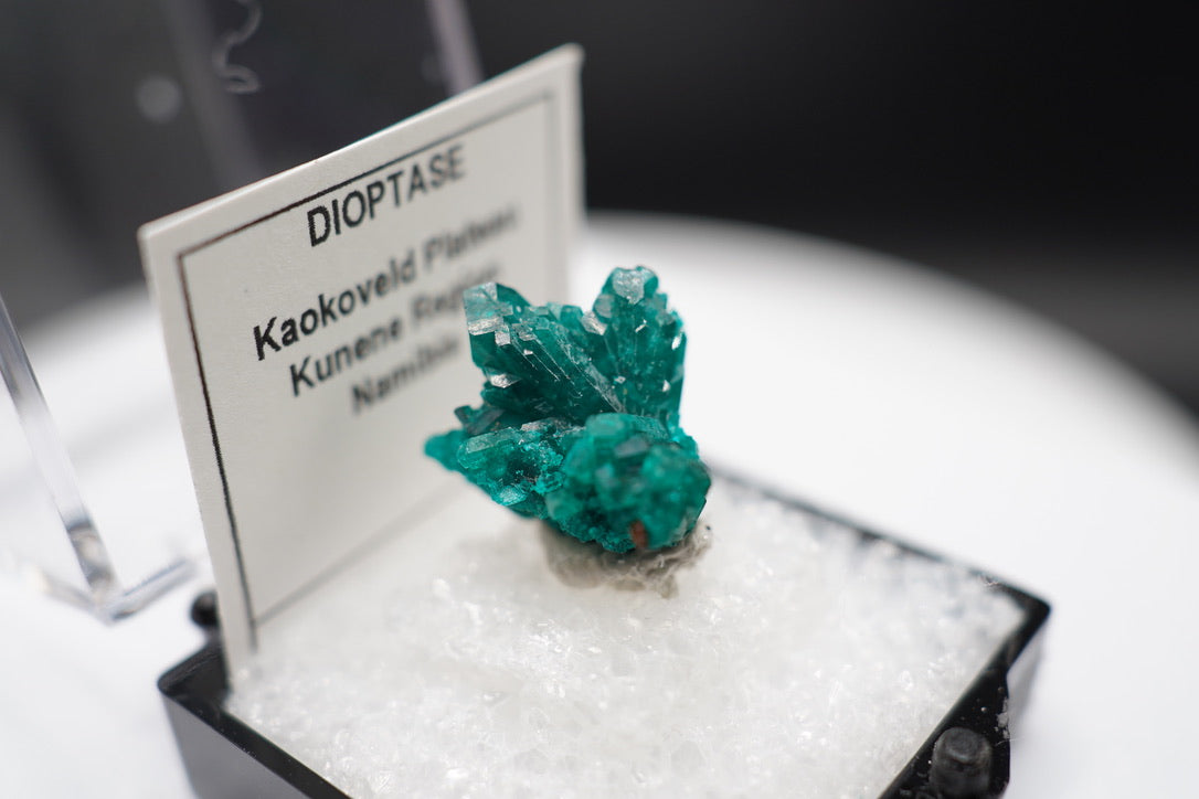 Dioptase Spray / Namibia