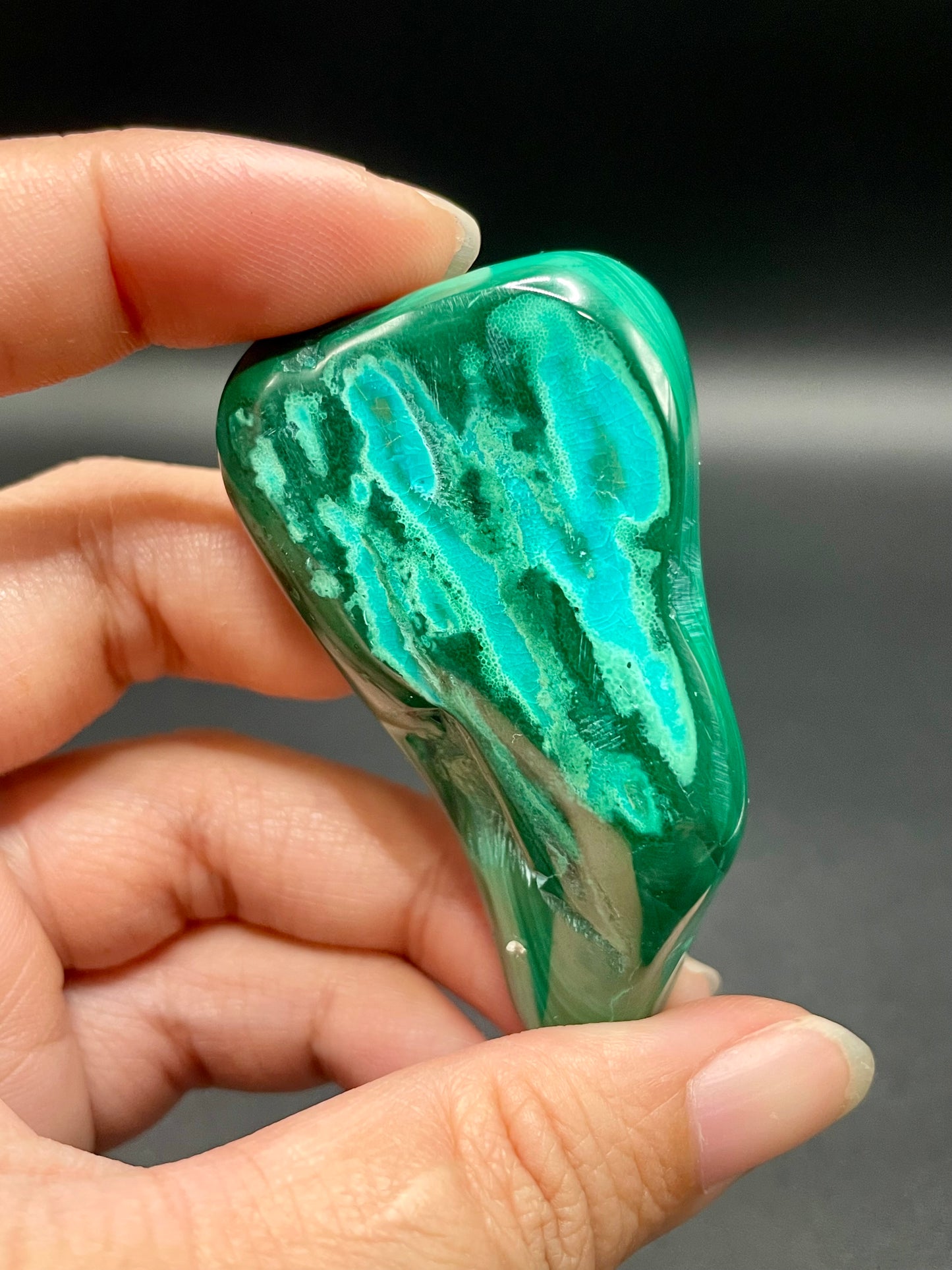 Malachite with Chrysocolla / DRC