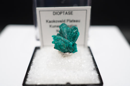 Dioptase Spray / Namibia