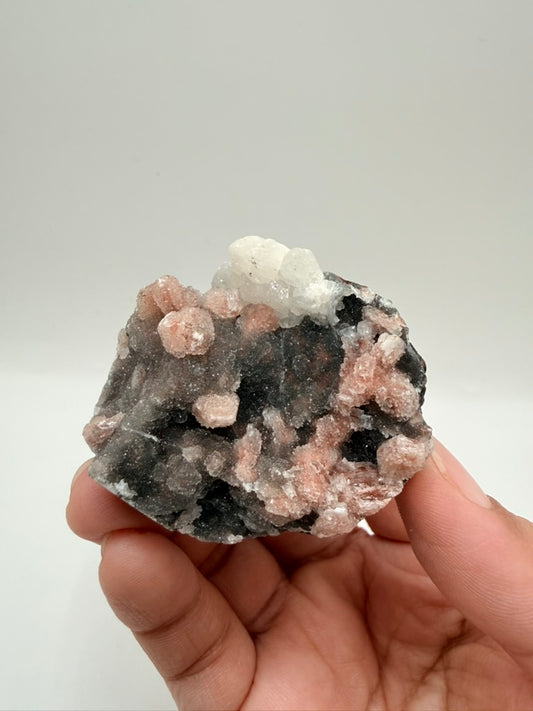 Peach Stilbite on Black Chalcedony