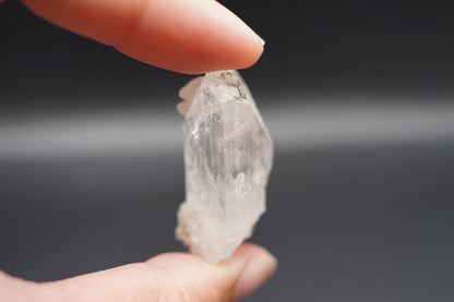 Danburite / Mexico