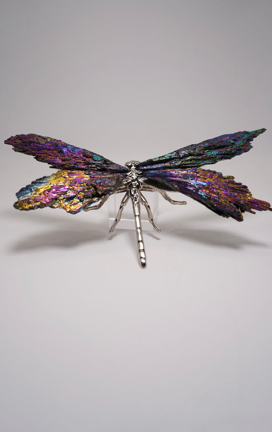 Aura Coated Kyanite Dragonfly - Brazil