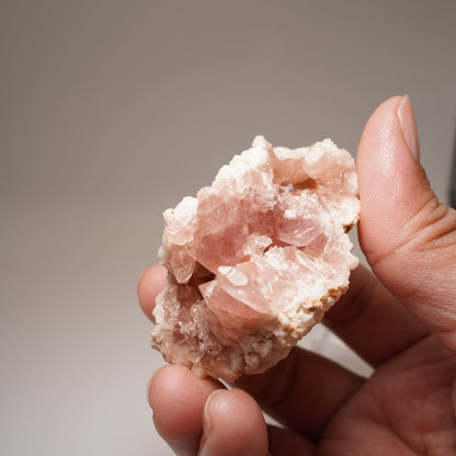 Pink Amethyst / Argentina