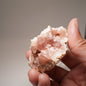 Pink Amethyst / Argentina