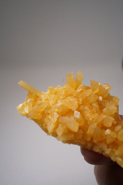 Golden Calcite / South Dakota, USA