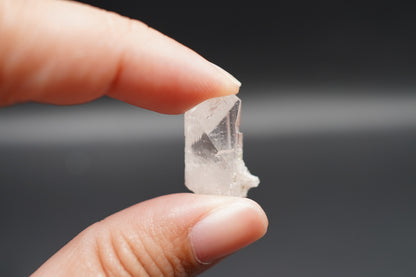 Danburite / Mexico