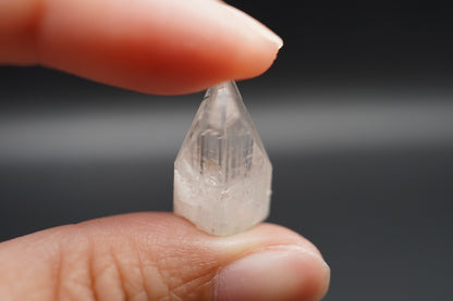 Danburite / Mexico