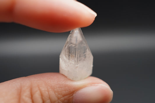 Danburite / Mexico