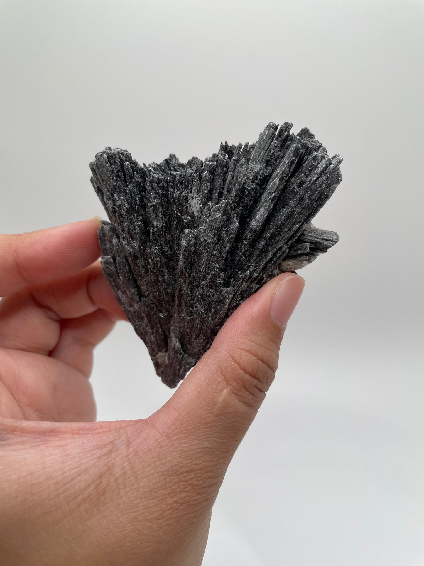 Black Kyanite / Brazil