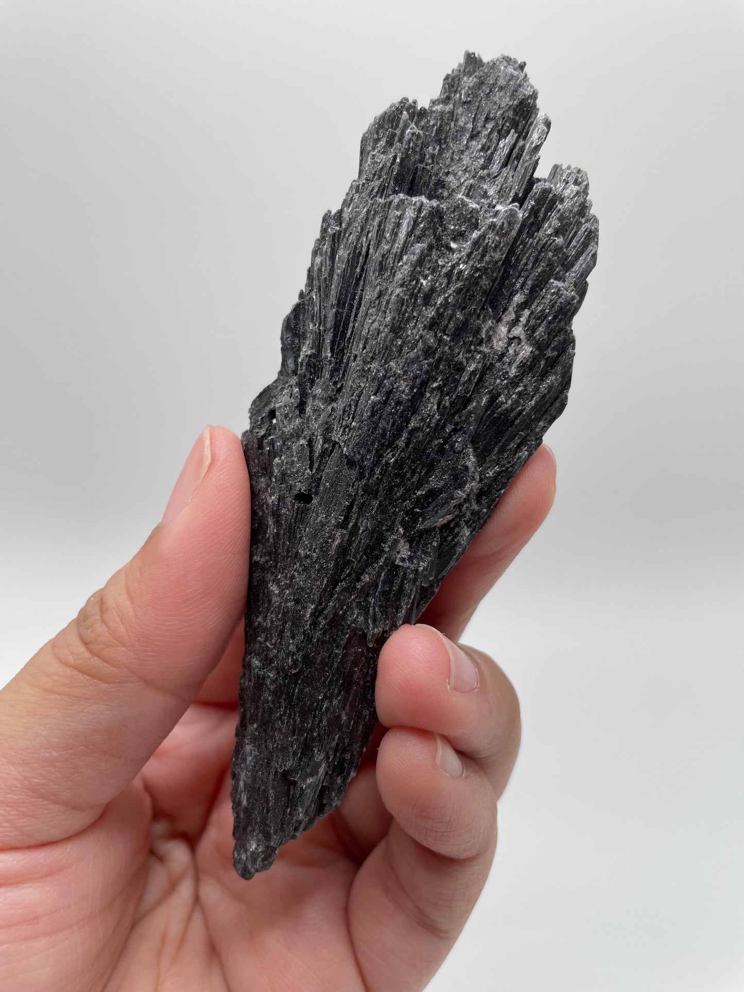 Black Kyanite / Brazil