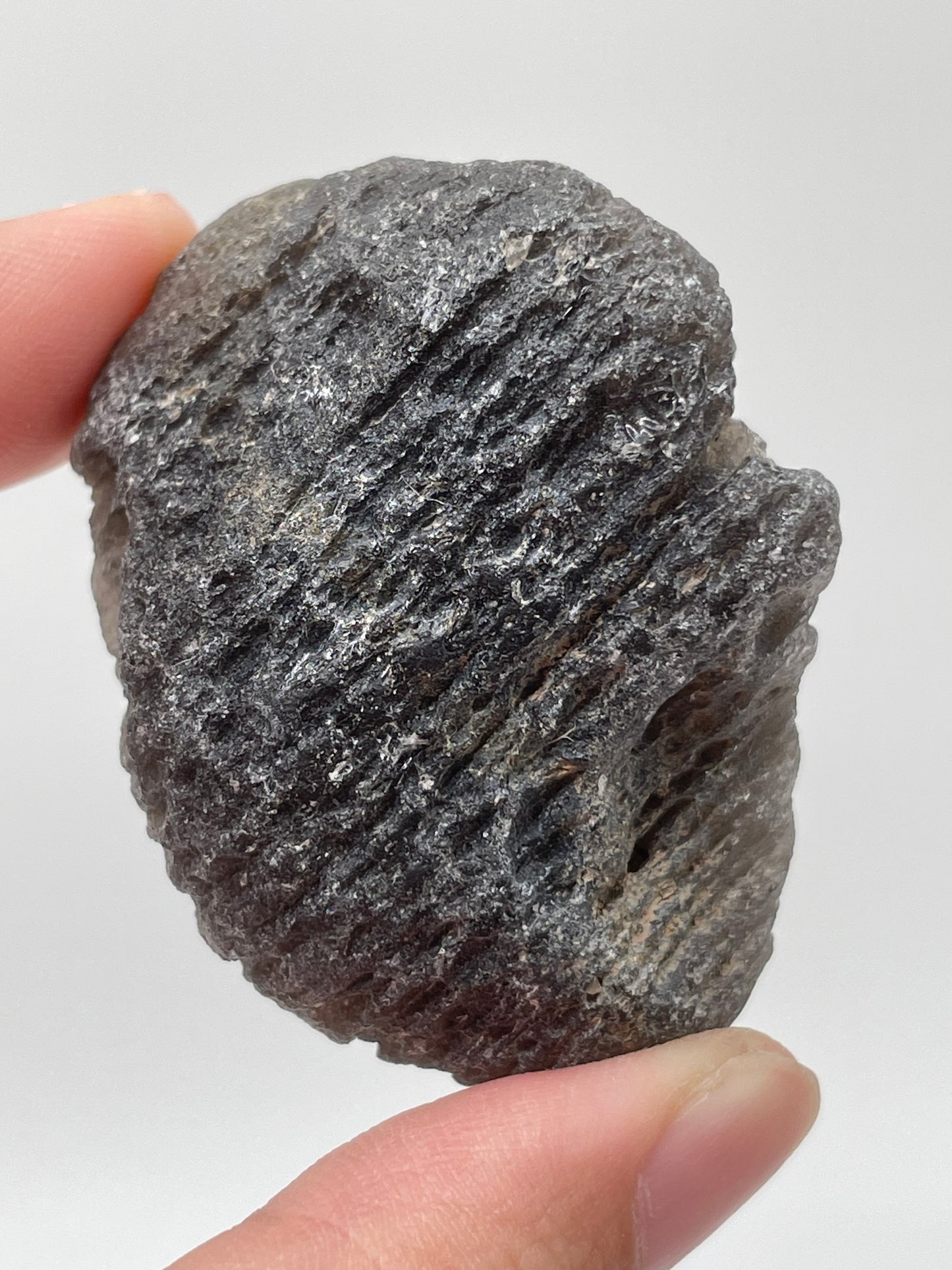 Tektite / Thailand