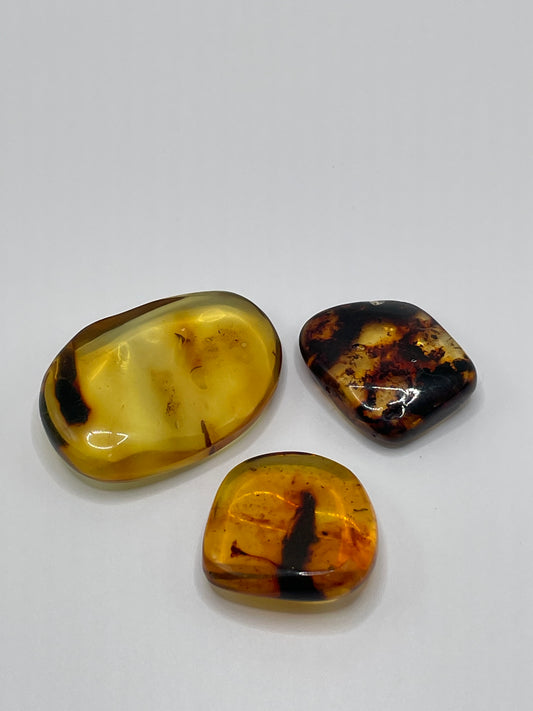 Amber / Colombia