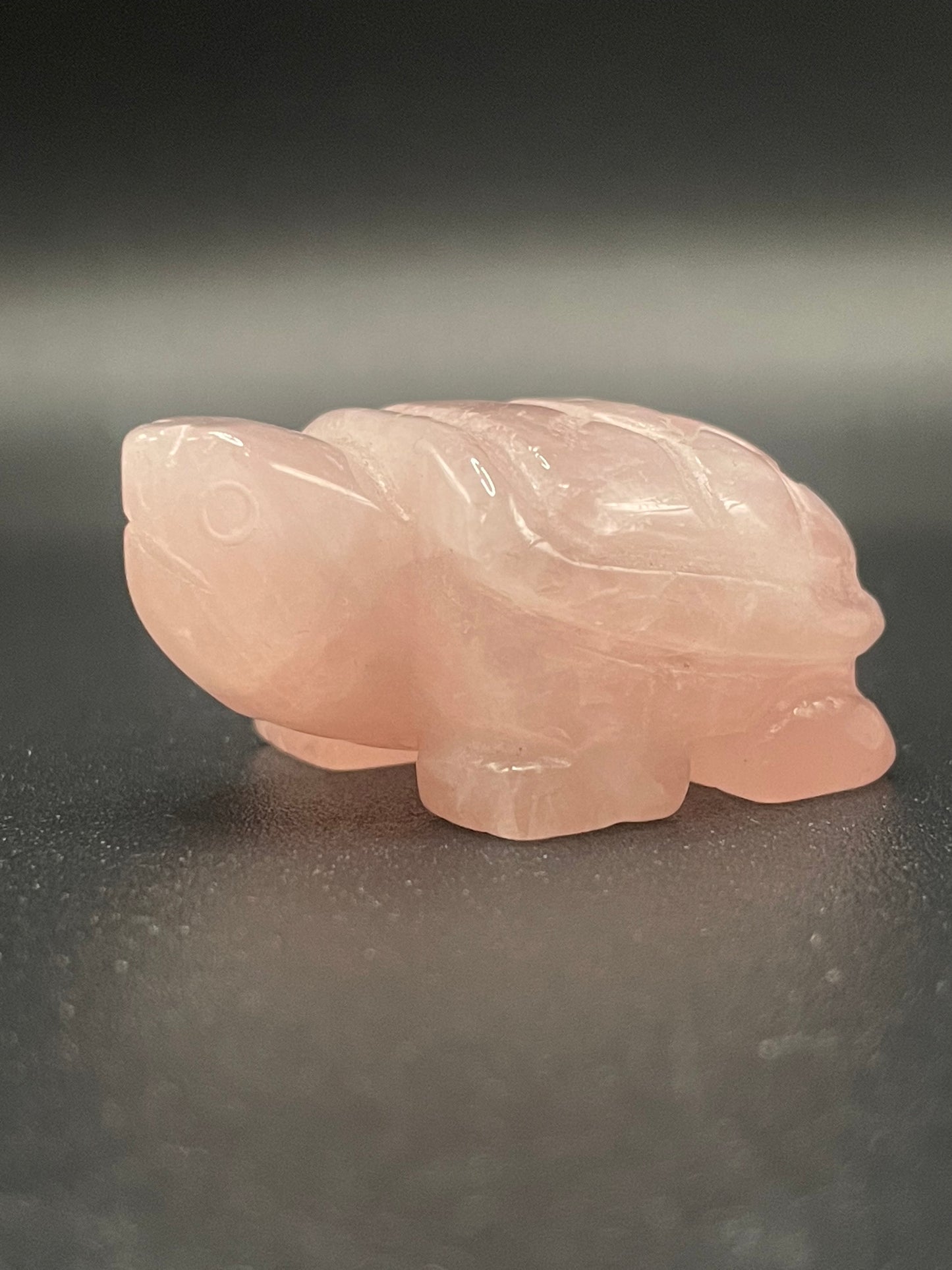 Rose Quartz Small Turtle