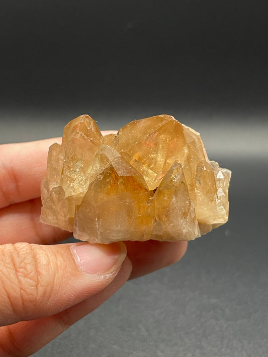 Citrine / Congo