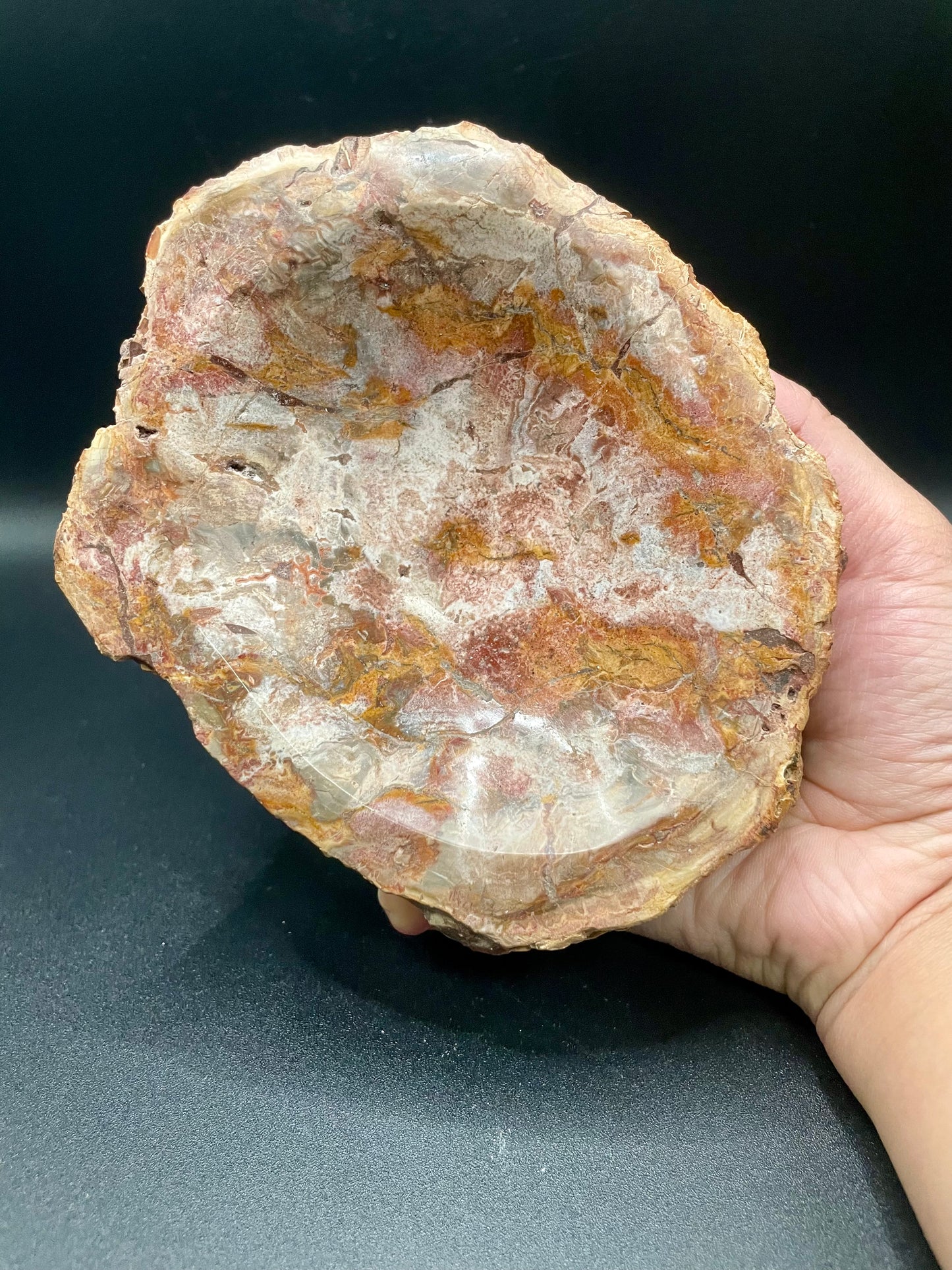 Petrified Wood Bowl