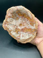 Petrified Wood Bowl