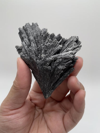 Black Kyanite / Brazil