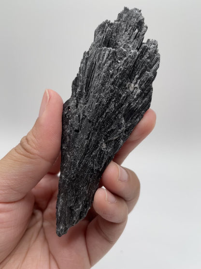 Black Kyanite / Brazil