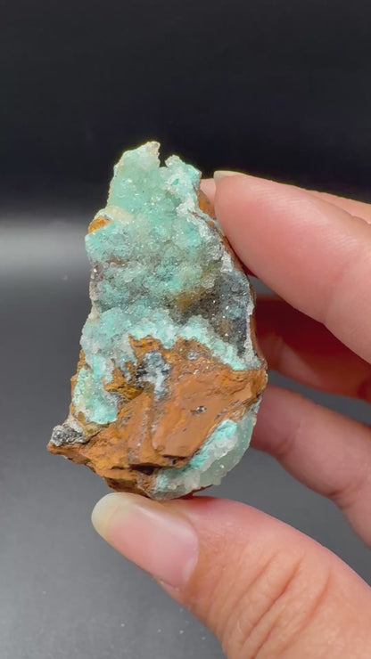 Chrysocolla / DRC
