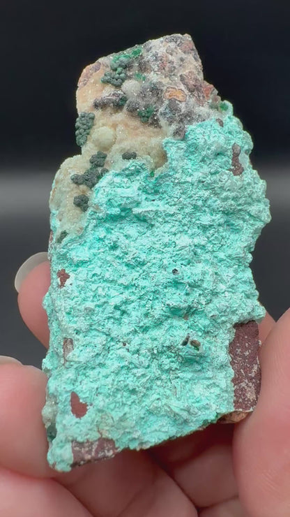 Chrysocolla