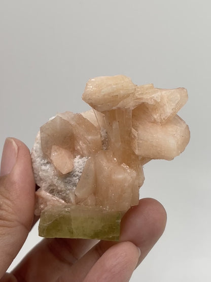 Green Apophyllite with Peach Stilbite / India