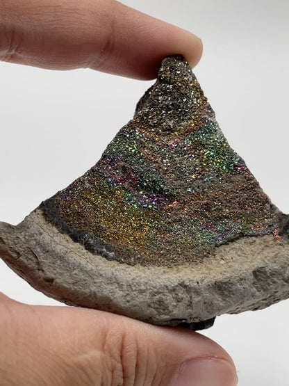Rainbow Pyrite / Russia