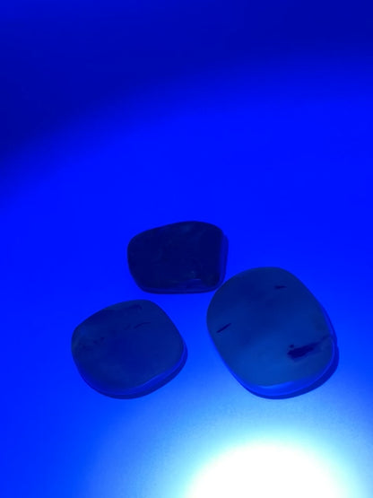 Amber / Colombia