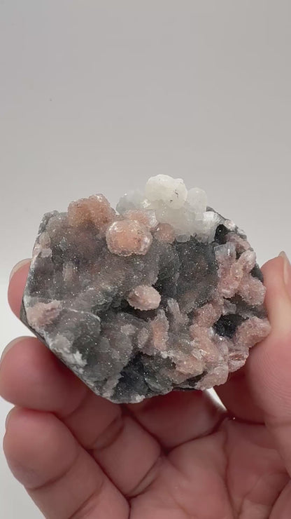 Peach Stilbite on Black Chalcedony