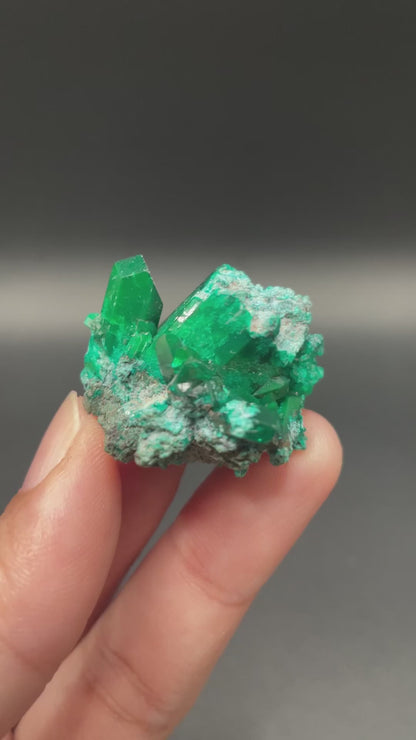 Dioptase / Congo