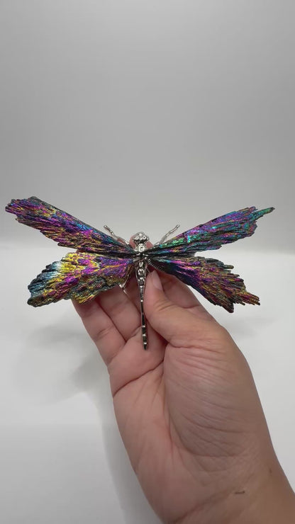 Aura Coated Kyanite Dragonfly - Brazil