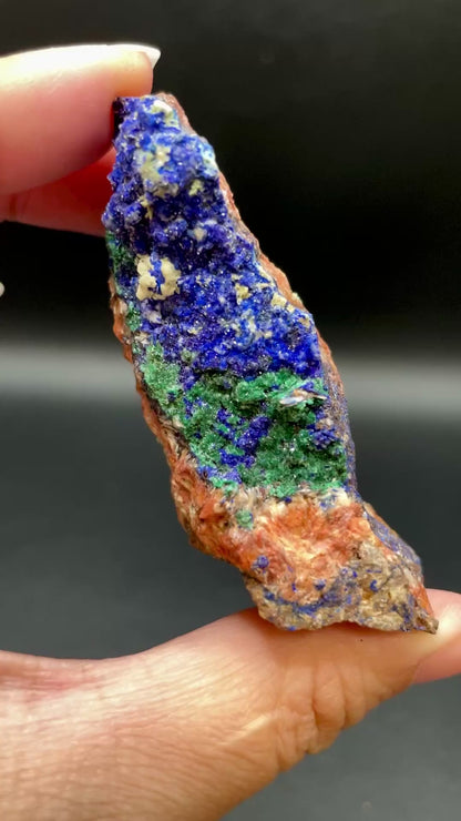 Azurite with Malachite / Morocco