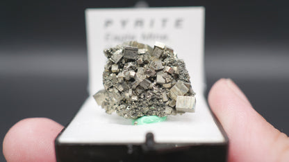 Pyrite / Colorado, USA