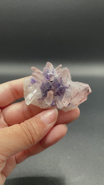 Fluorite in Quartz / Turkey