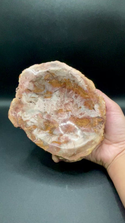 Petrified Wood Bowl